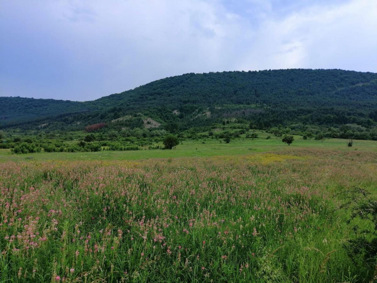 Etno Kuca Nikolov Villa Dimitrovgrad Dış mekan fotoğraf