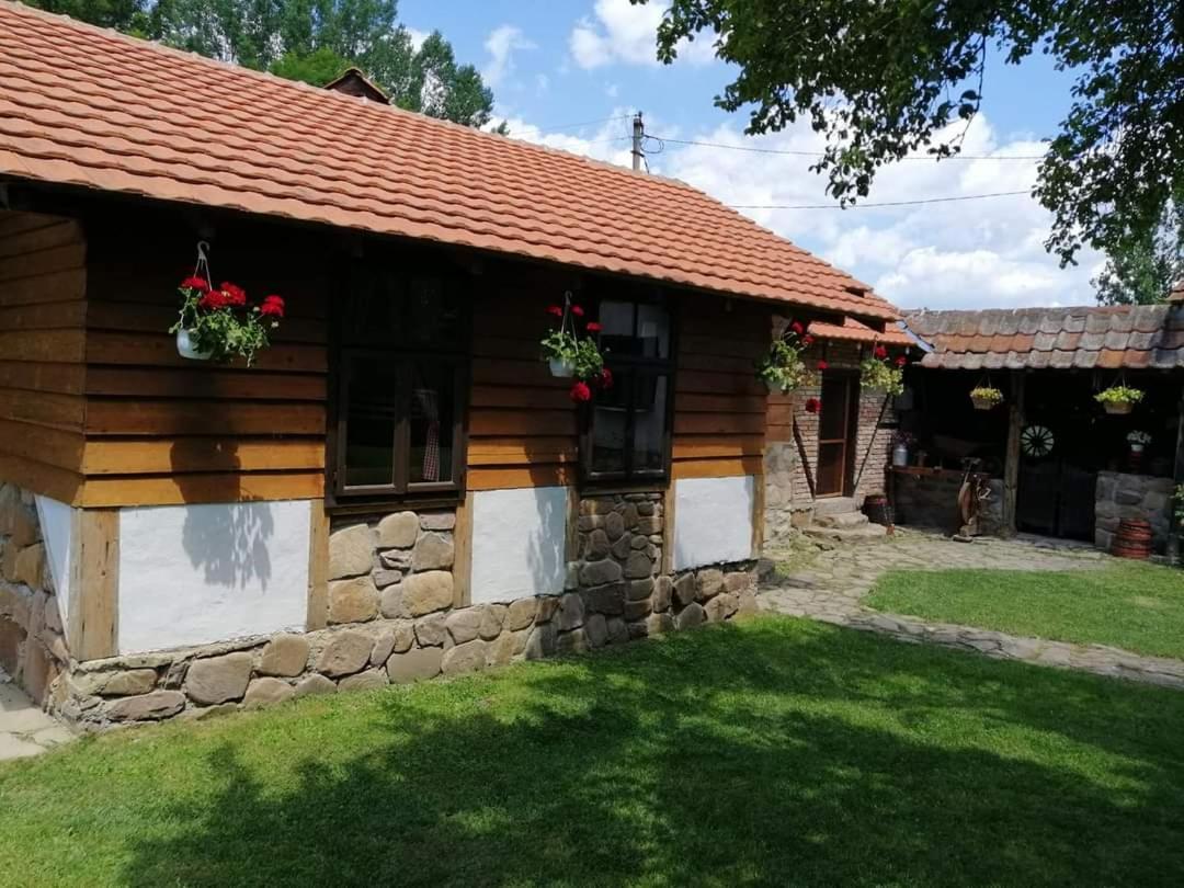 Etno Kuca Nikolov Villa Dimitrovgrad Dış mekan fotoğraf